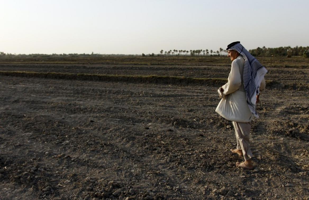 Voici comment la sécheresse en Irak risque de donner des ailes à l'EI