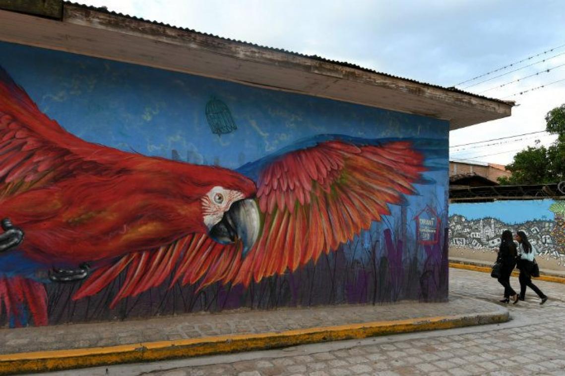 PHOTOS. Cantarranas mise sur le street-art pour attirer les touristes