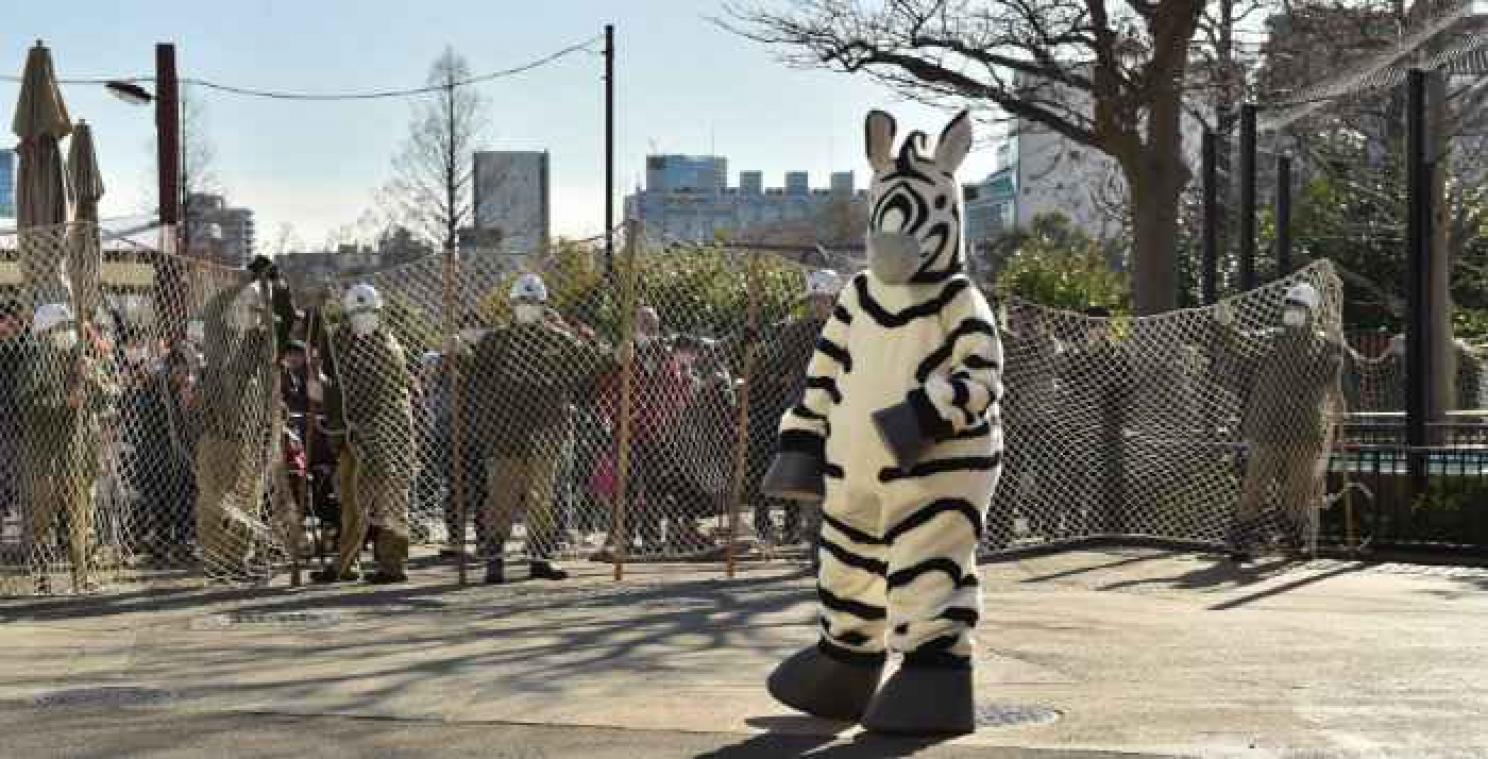 Au Japon, ce gardien de zoo déguisé en zèbre participe à un exercice de sécurité