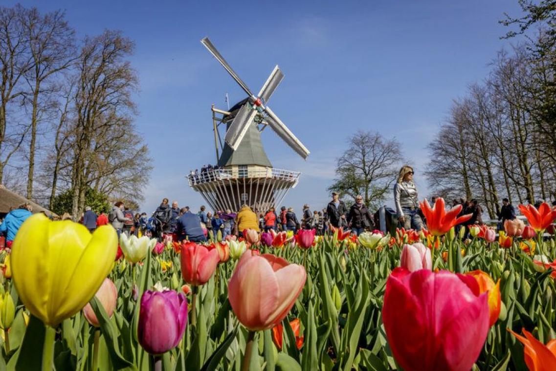 Voyage: Le printemps à Leiden