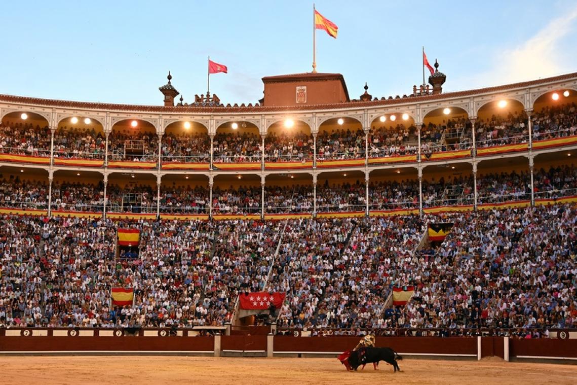 Un taureau tue un torilero devant 2.000 personnes en Espagne