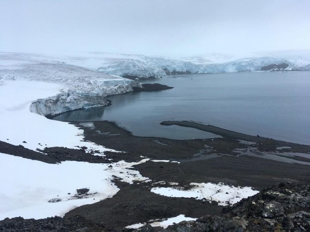 2014 a été une année charnière pour l'Antarctique et les chercheurs ne savent pas pourquoi