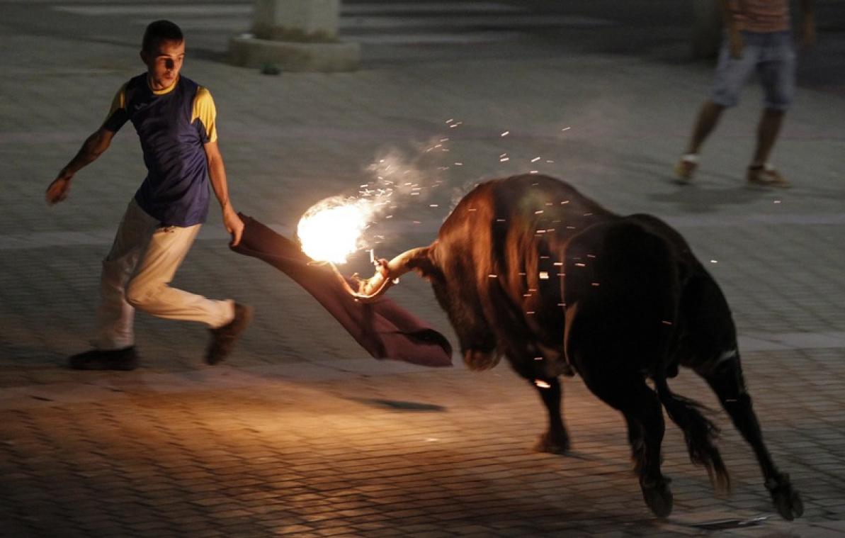 VIDEO. Un taureau avec les cornes en feu enflamme les anti-corrida