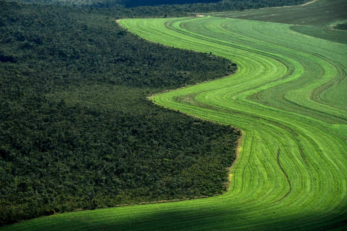 La déforestation au Brésil s'accélère dramatiquement