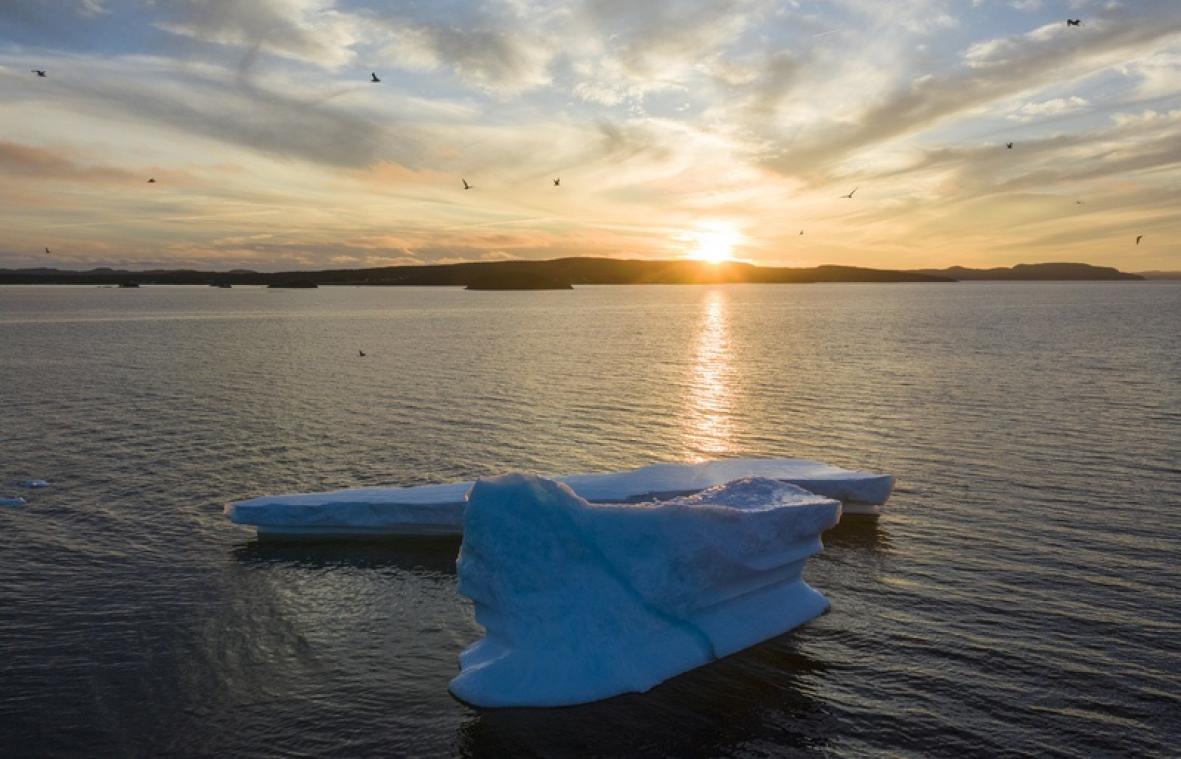Au Canada, le "couloir des icebergs" attire toujours plus de touristes