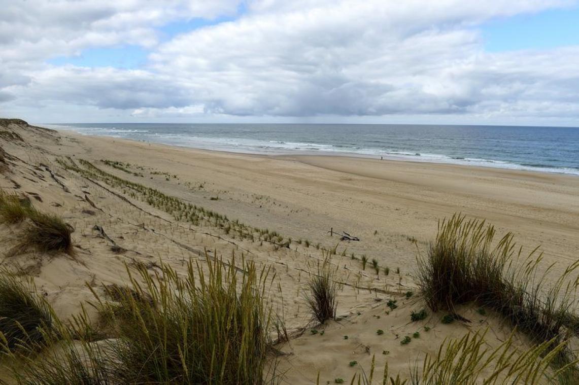 À Biarritz, des ONG dénoncent un « océan agonisant » à cause de la pollution chimique
