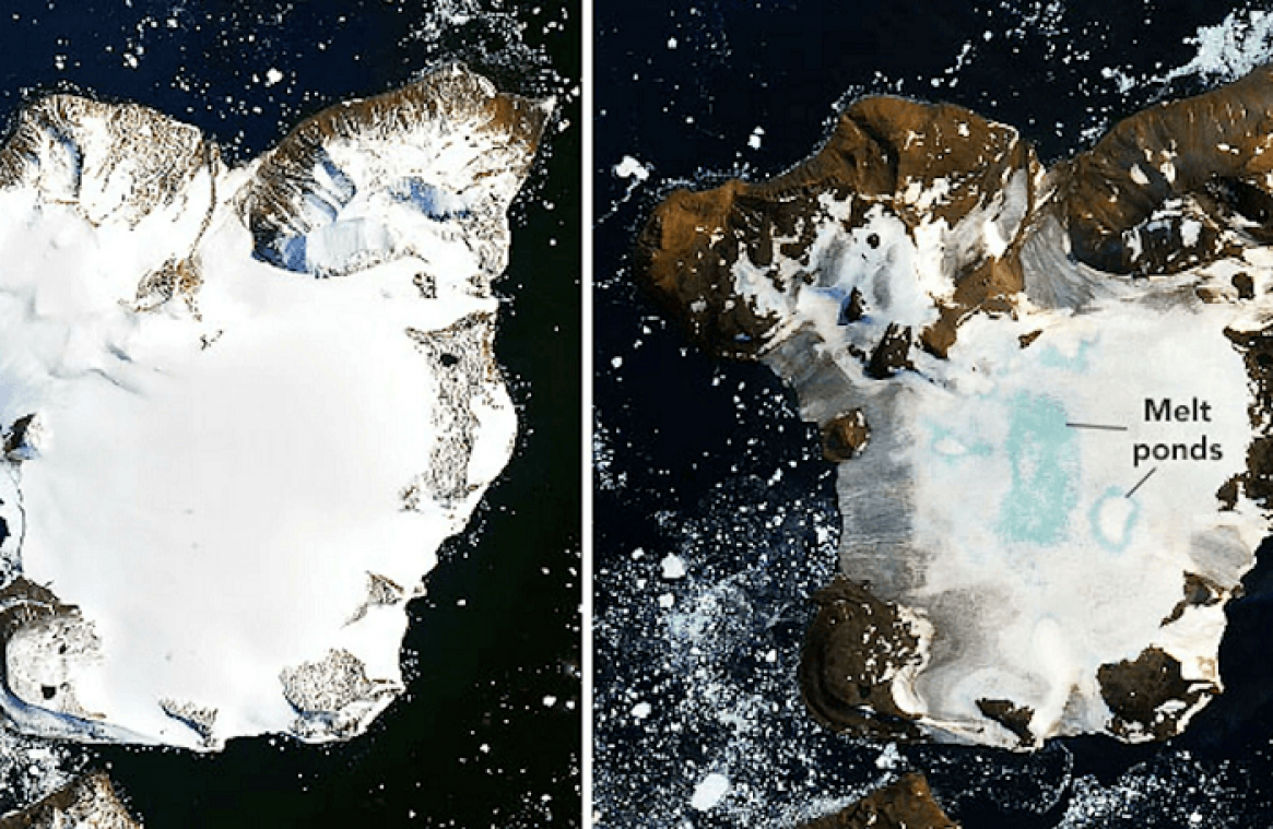 Une île de l'Antarctique perd 20% de sa neige en dix jours