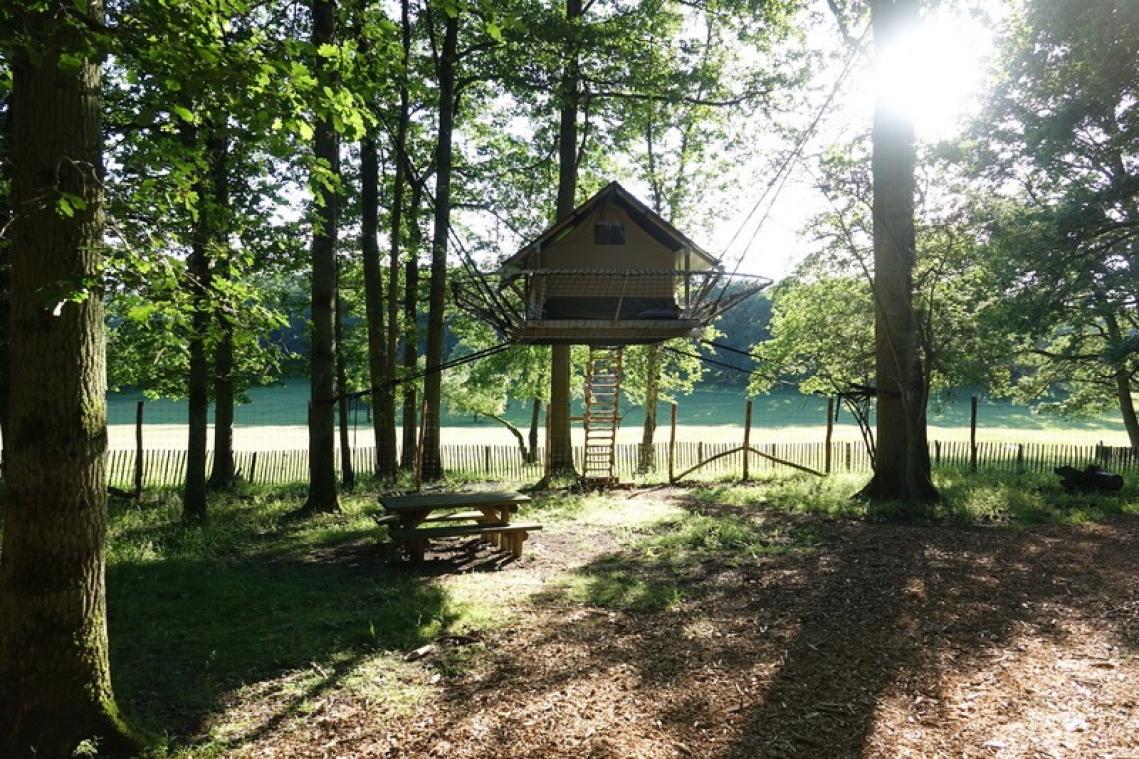 Un week-end de camping en Tree Tent à Han-sur-Lesse, l'occasion de séjourner parmi les animaux sauvages
