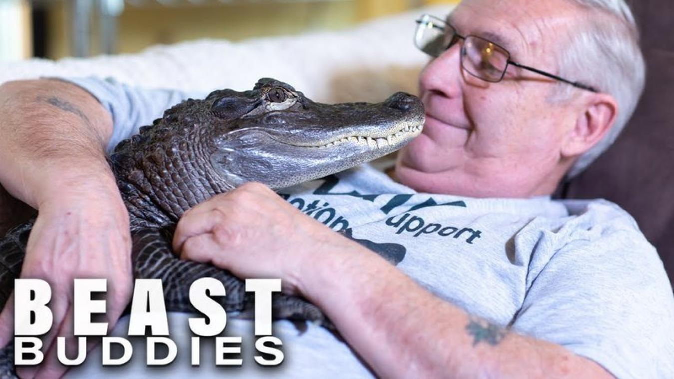 À 65 ans, il vit avec un alligator de thérapie