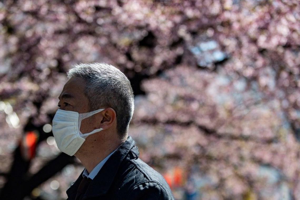 Malgré le coronavirus, le Japon fête les fleurs de cerisier