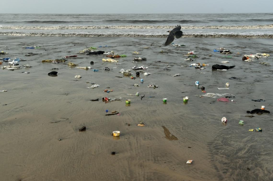 Le plastique ne se détériore pas dans les océans même après 20 ans