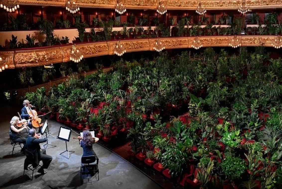 VIDEO. A Barcelone, le premier opéra post-confinement joué devant 2.300 plantes