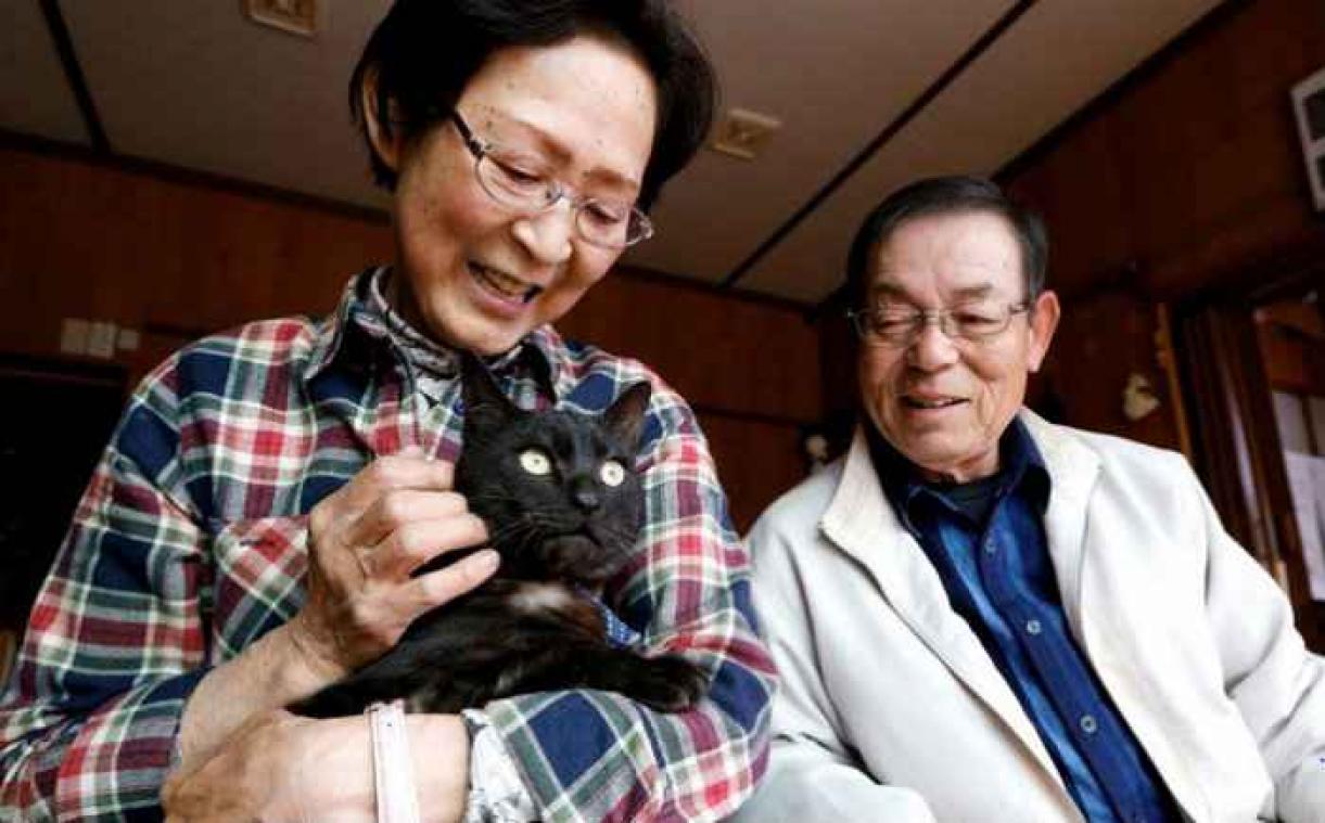 Tsunami: Trois ans après un chat retrouve ses maîtres