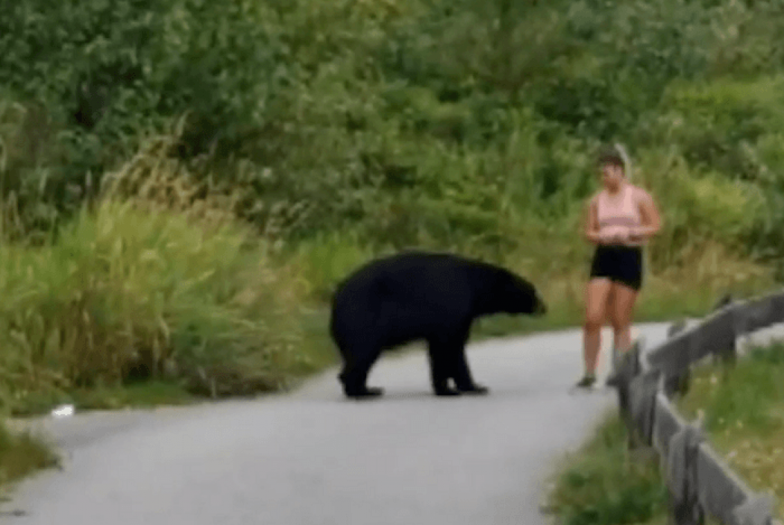 VIDEO. En plein jogging, elle se retrouve nez à nez avec un ours