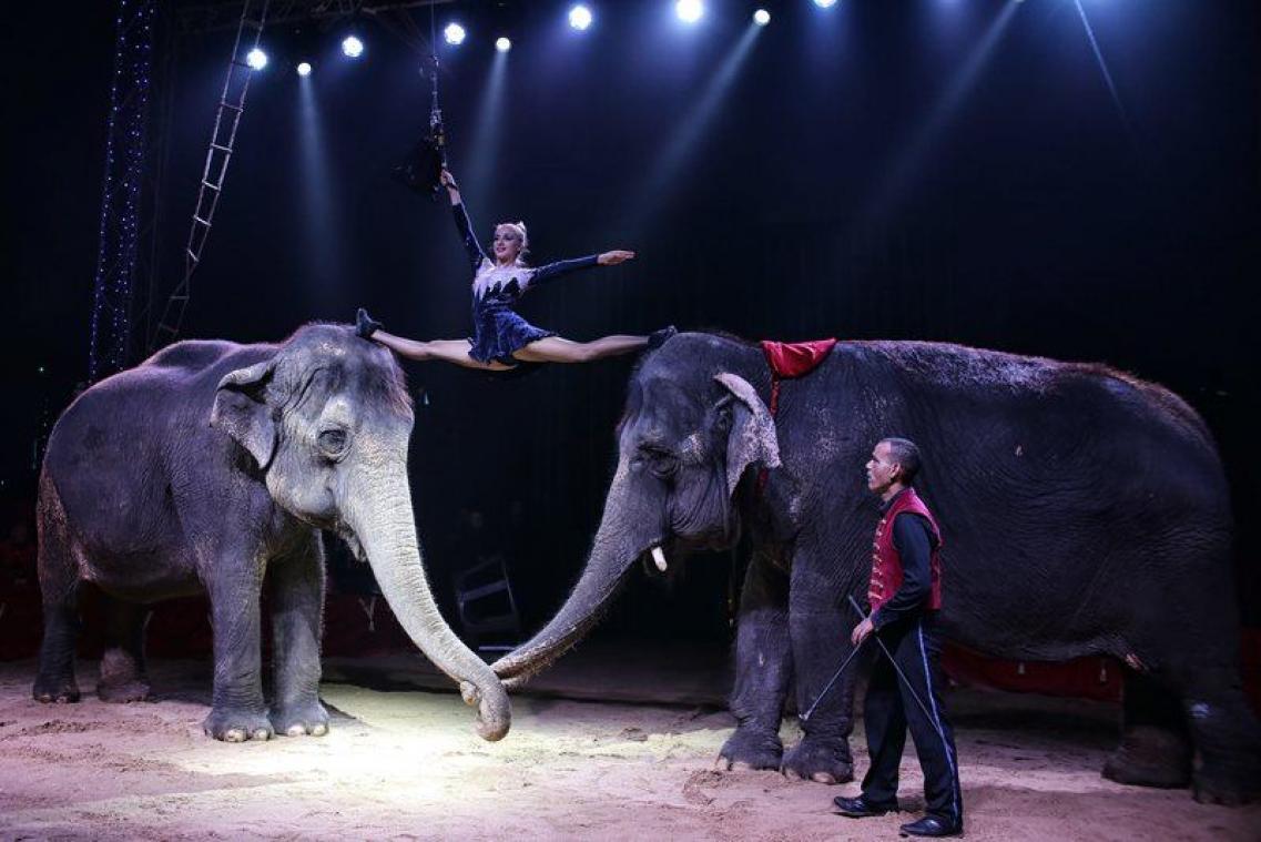 La fin des animaux sauvages dans les cirques en France
