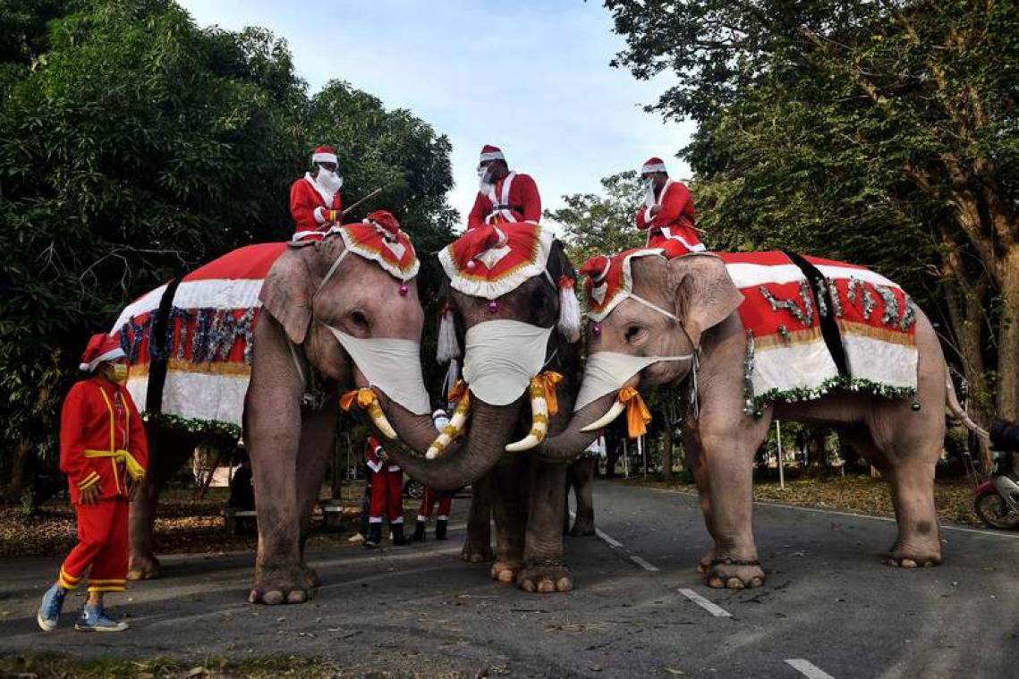 En Thaïlande, des éléphants de Noël distribuent des masques aux enfants