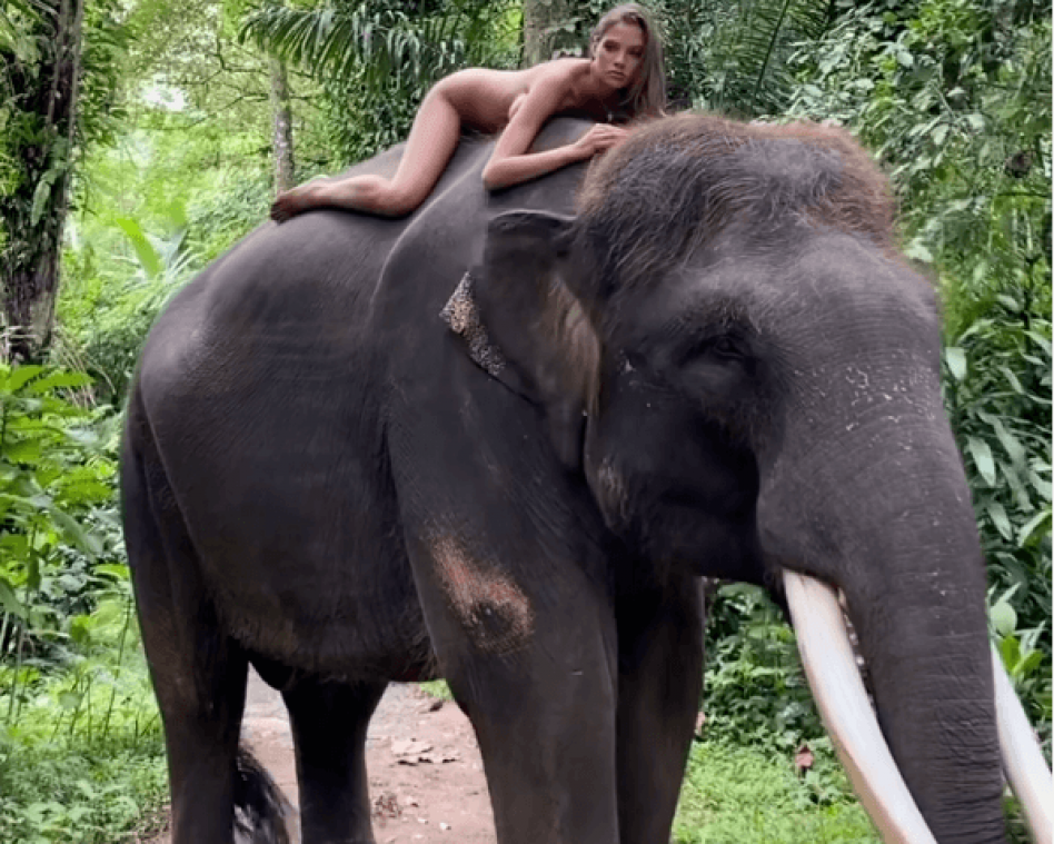 Elle pose nue sur un éléphant et choque sa communauté