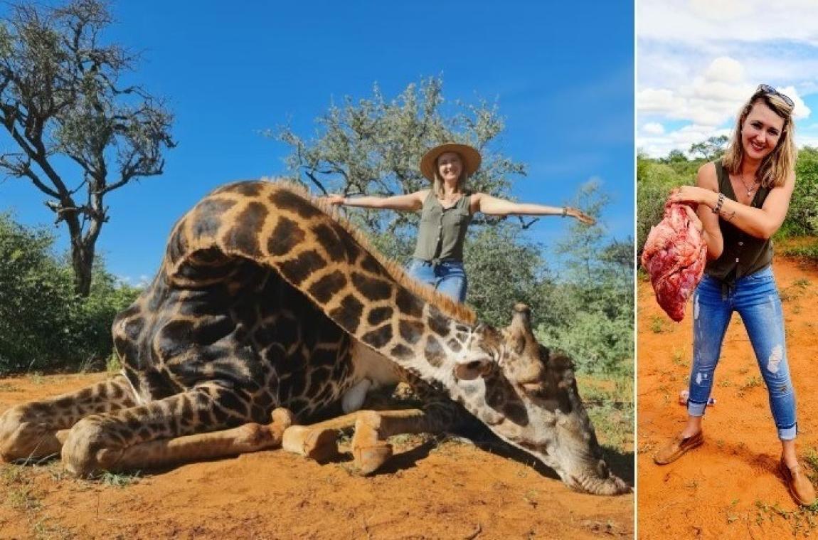 Pour la Saint-Valentin, cette chasseuse s'est offert un cur de girafe