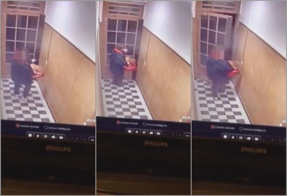 VIDEO. Un livreur vole un chat chez un client pour se débarrasser des souris dans sa pizzeria