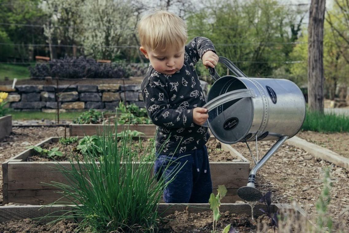 Sept activités de jardinage à faire avec ses enfants