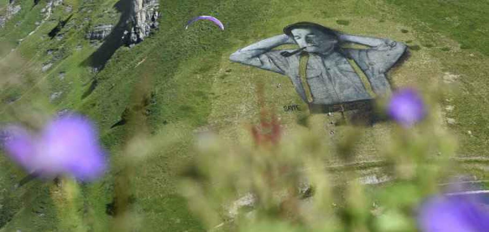 VIDEO. Un artiste français réalise la plus grande fresque sur herbe du monde