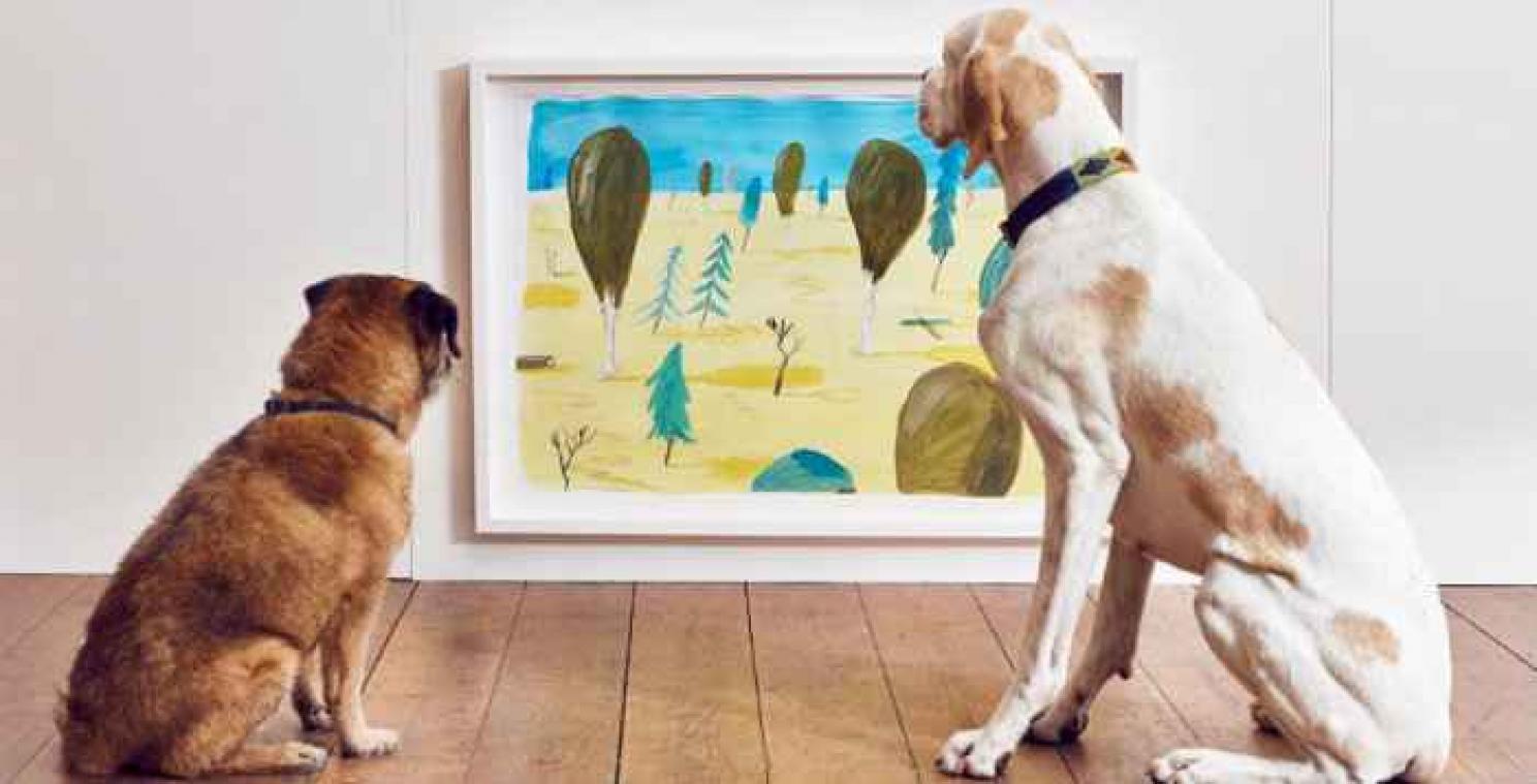 VIDEO. Un artiste crée la première exposition d'art  pour les chiens