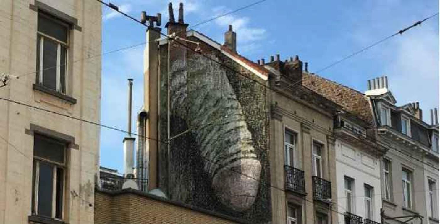 La commune de Saint-Gilles va effacer la fresque d'un pénis géant
