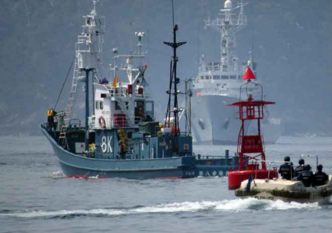 Le Japon poursuit la chasse à la baleine