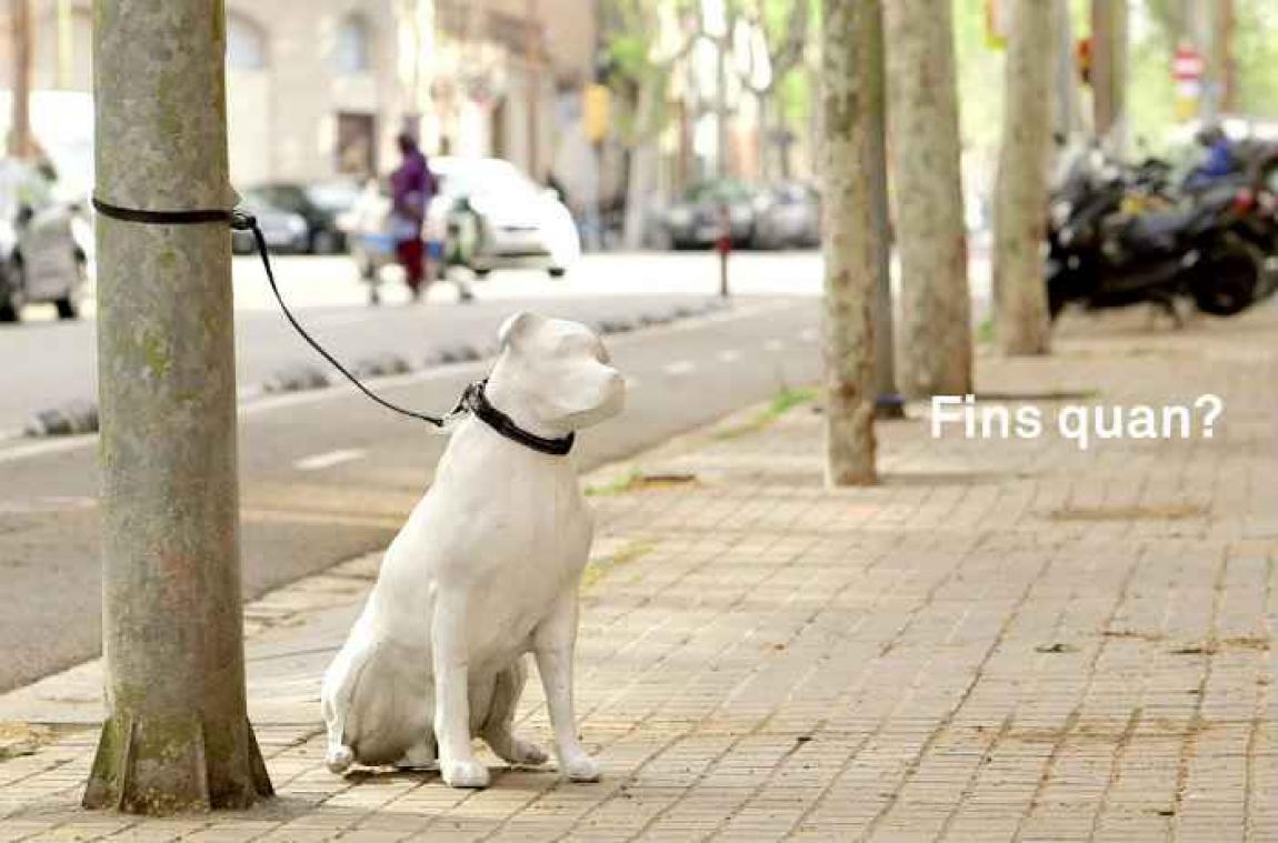 Des statues de chiens installées dans les rues de Barcelone pour sensibiliser à l'abandon