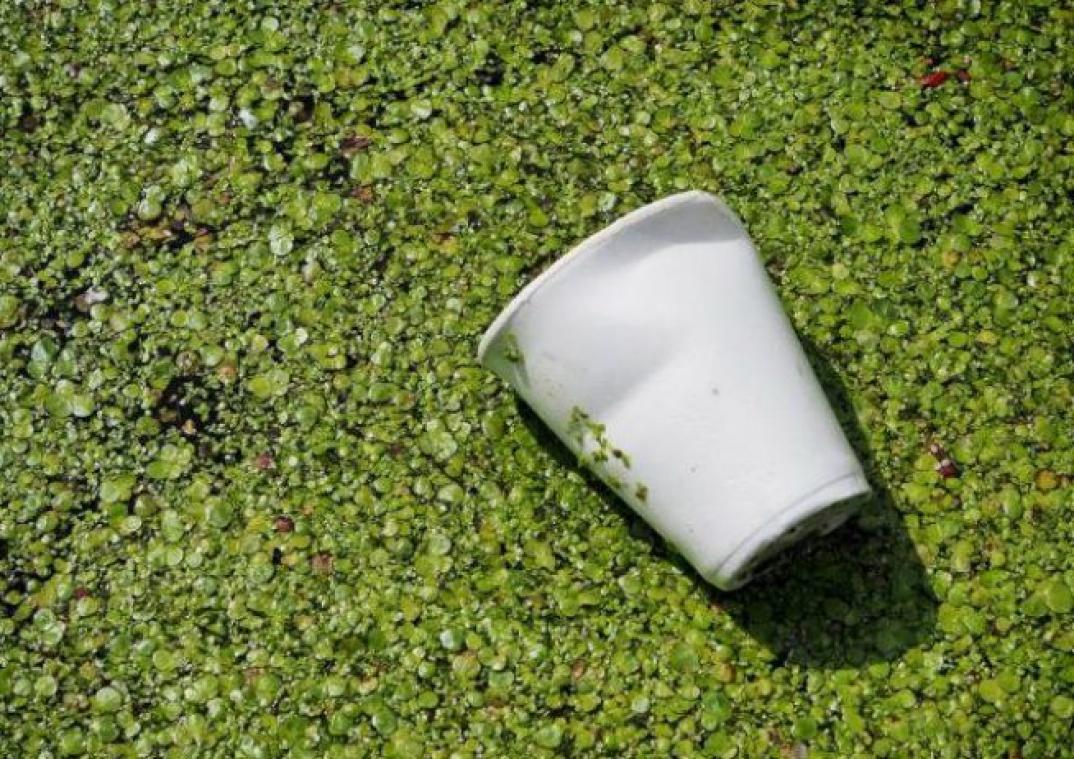 Le plastique biodégradable, la fausse solution contre la pollution