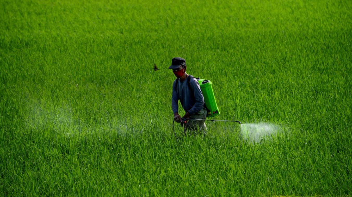 Des pesticides interdits depuis 40 ans sont encore présents dans le corps des Wallons, même des nouveaux nés