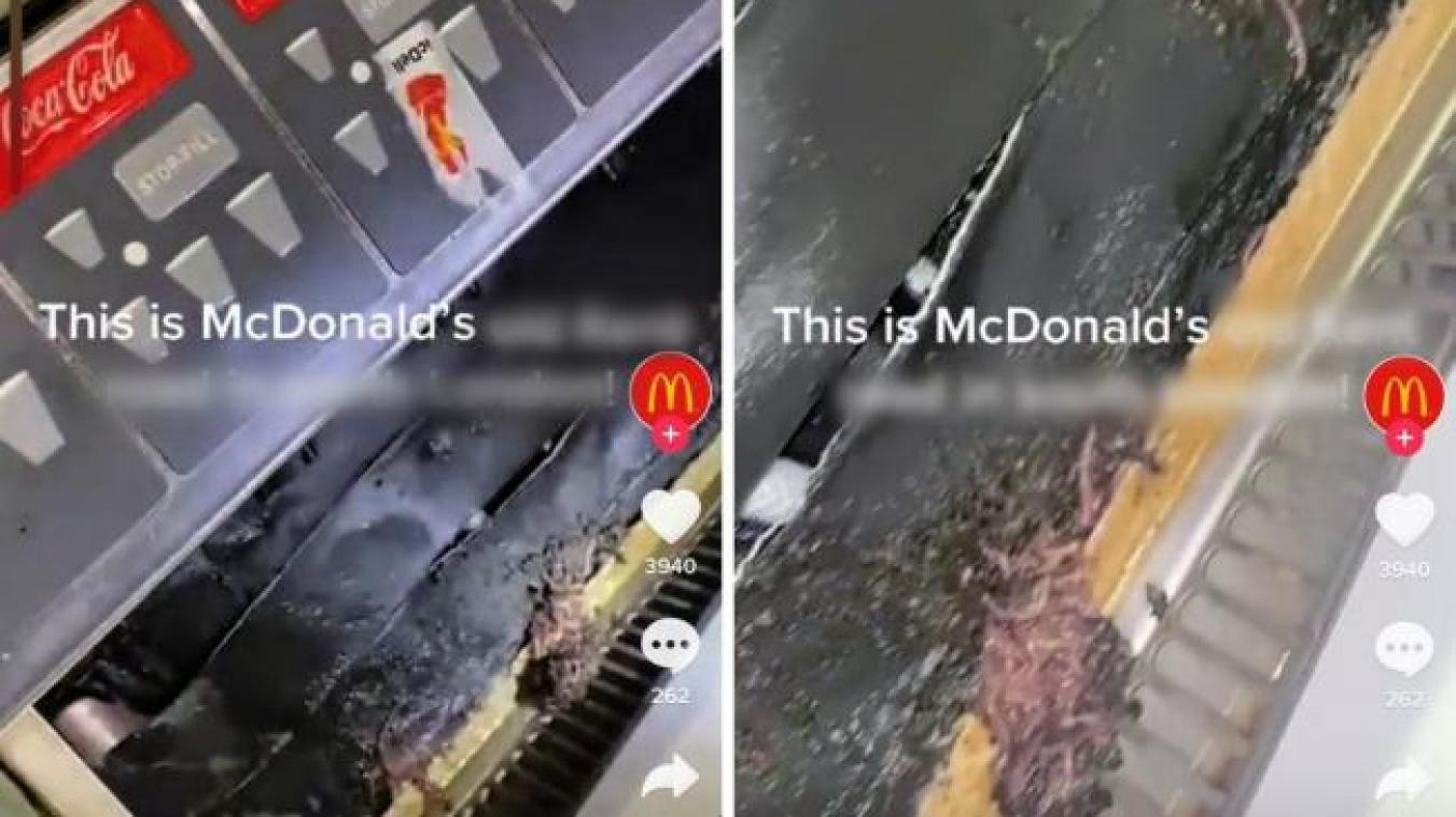 Horreur au McDo: des vers grouillaient dans le distributeur de boissons (vidéo)