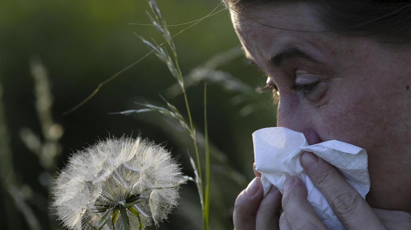 Mauvaise nouvelle pour un Belge sur six: c’est le début de la saison des pollens des graminées