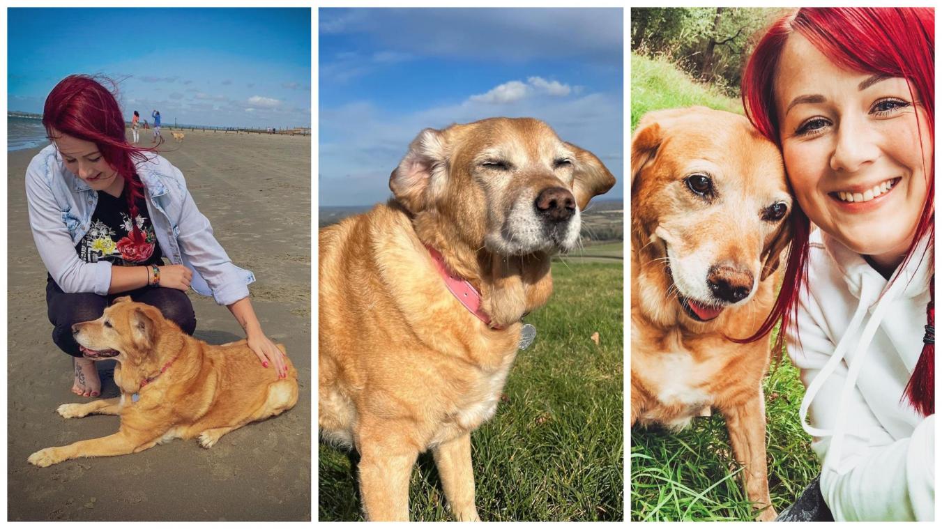 Elle quitte son job pour donner la meilleure fin de vie possible à son chien