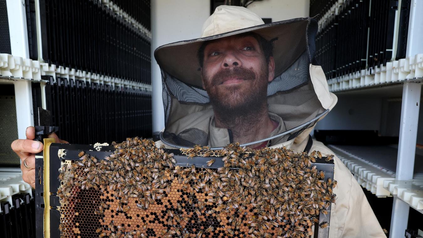 La technologie vient au secours des abeilles: «le robot est un outil pour l’apiculteur, mais il ne le remplace pas»