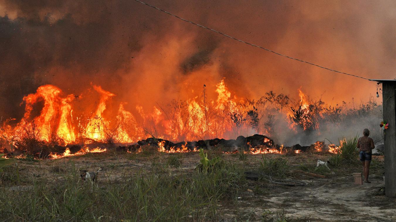 Le Brésil a connu ses pires incendies en 18 ans pour un mois de mai en Amazonie