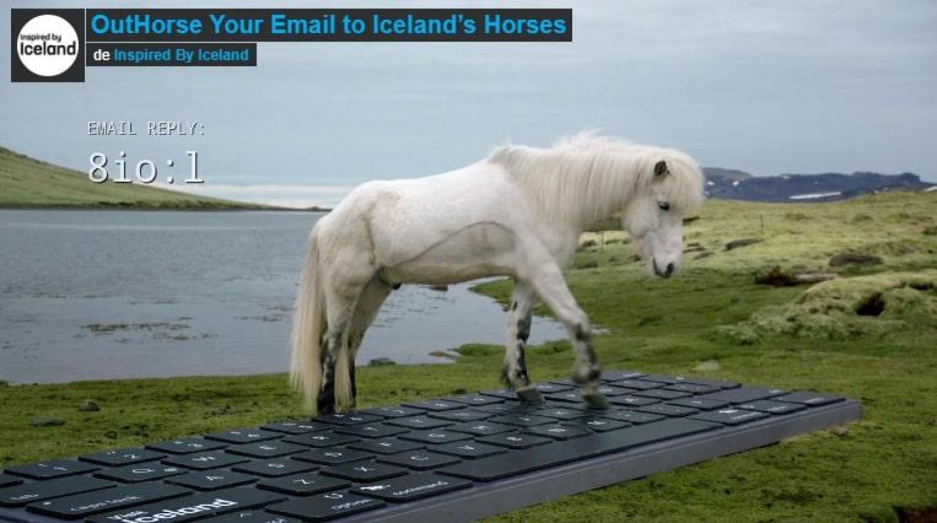 Partez en vacances en Islande et laissez des chevaux répondre à vos e-mails!