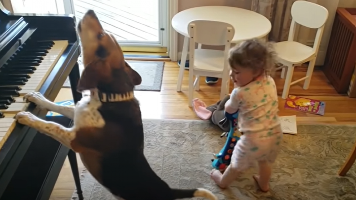 Ce père filme sa fille et son chien en plein concert au milieu de son salon (vidéo)