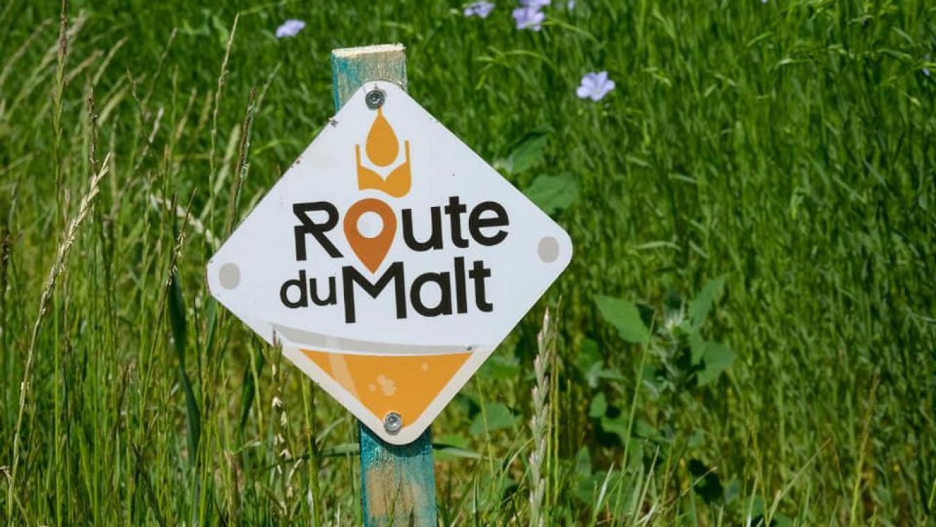 À pied ou à vélo, partez à la découverte de la «Route du Malt» dans la région de Gembloux
