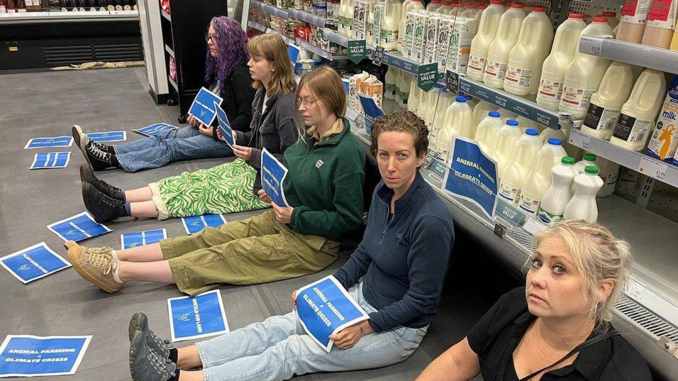 Des militants vegans bloquent l’accès à des rayons de produits laitiers dans certains supermarchés