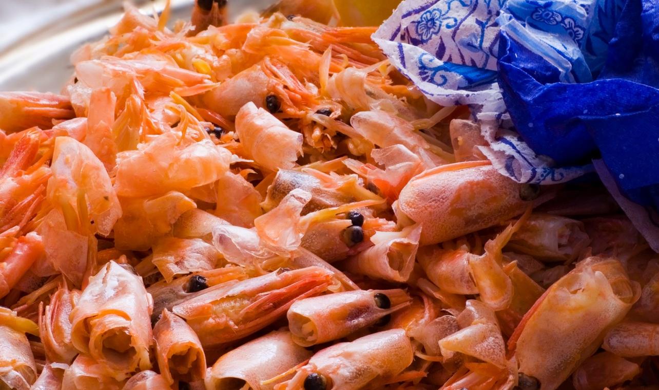Des produits à base de carapaces de crevettes? Ces articles pourraient bientôt débarquer dans nos supermarchés