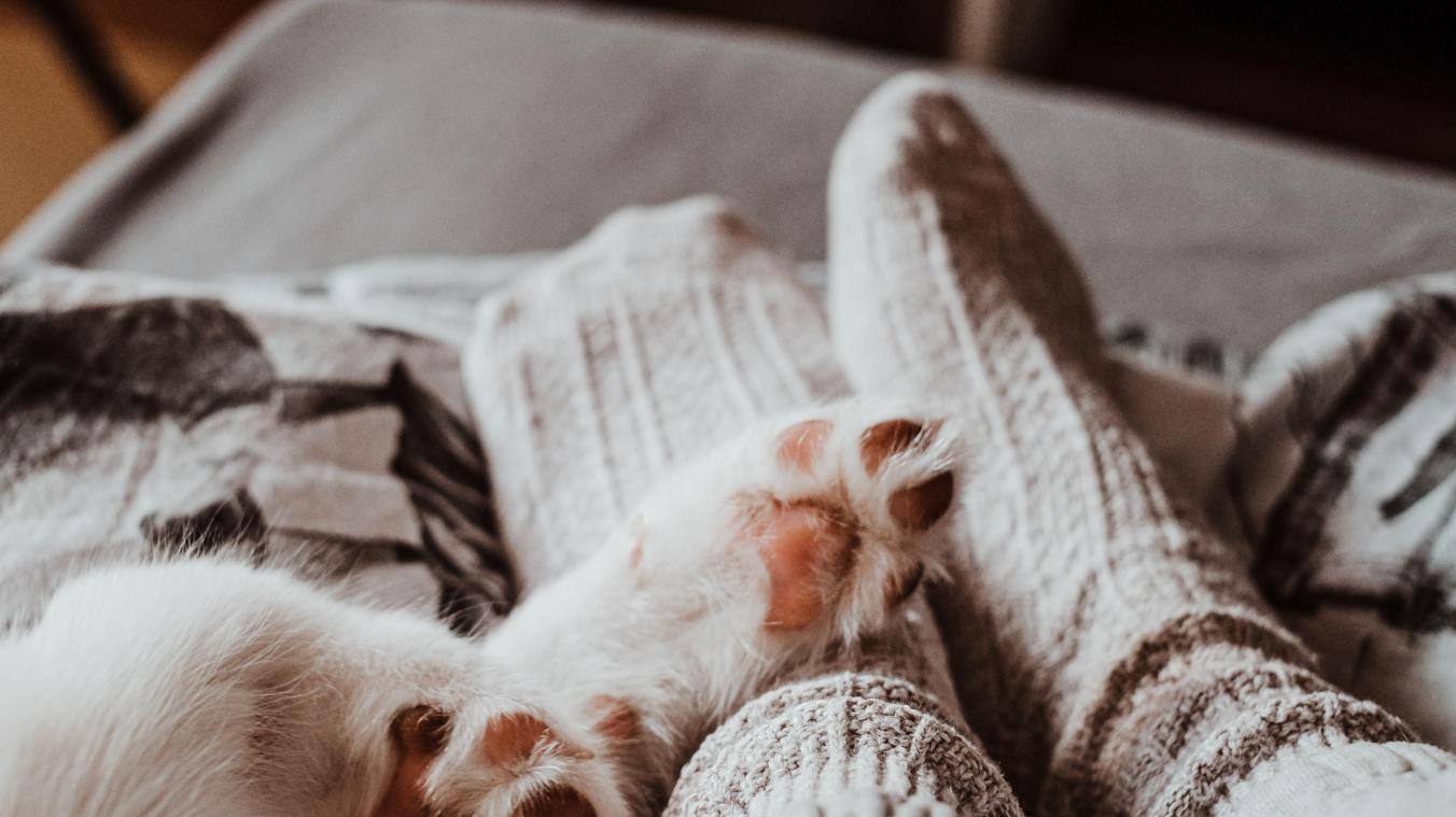 Pourquoi porter des chaussettes permet de s’endormir plus rapidement