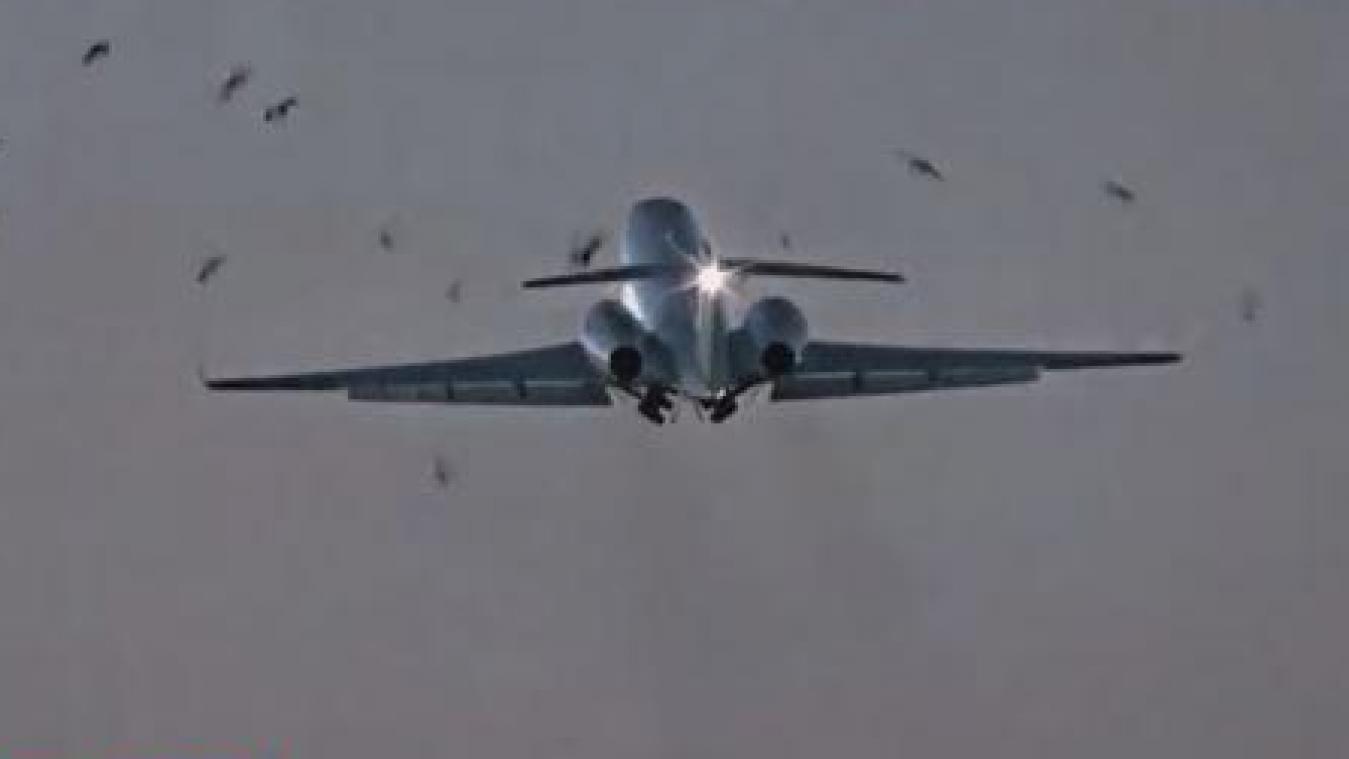 Cet avion frappe de plein fouet un groupe d’oiseaux lors du décollage (vidéo)