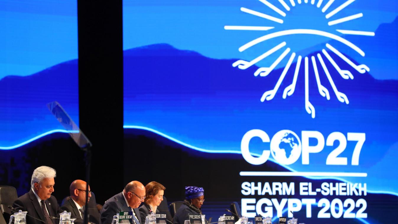 Un patron de compagnie pétrolière sera président de la COP28