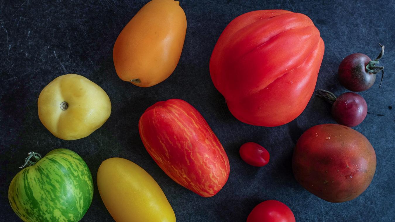 Comment les tomates, les aubergines et les pommes de terre peuvent aider à lutter contre le cancer?