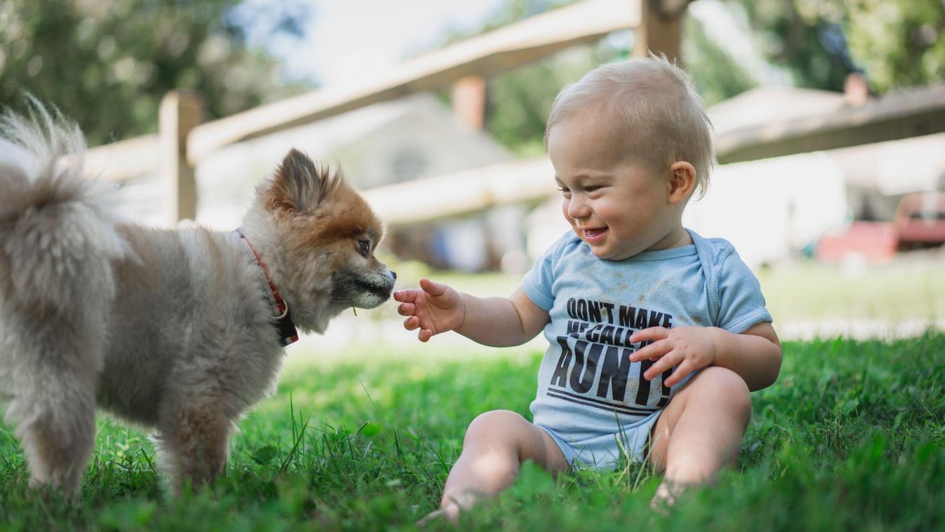 Quelles valeurs les chiens transmettent-ils à nos enfants en bas âge?